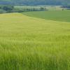 DSCN0201-Copier-