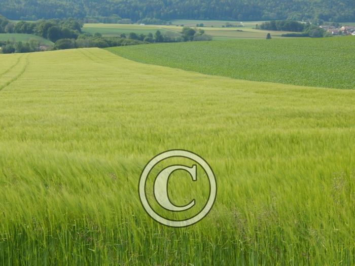 DSCN0201-Copier-