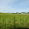 DSCN0202-Copier-