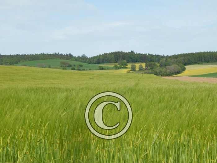 DSCN0203-Copier-