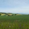 DSCN0204-Copier-