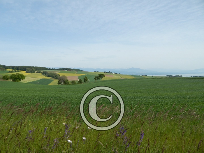 DSCN0204-Copier-