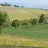 DSCN0205-Copier-