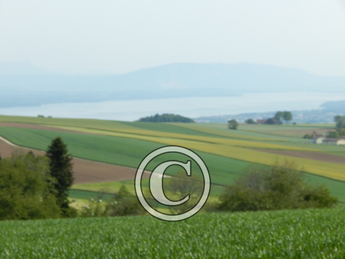 DSCN0206-Copier-