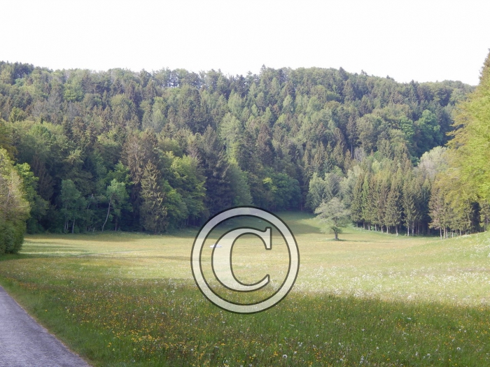 DSCN0207-Copier-