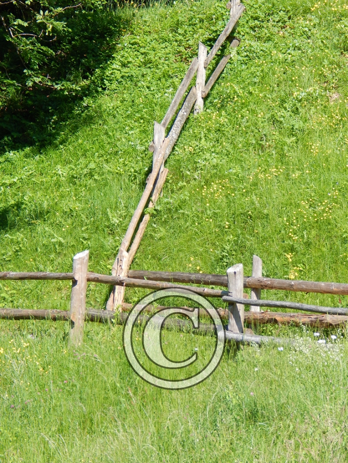 DSCN4176 light