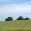 DSC_0001-Copier-