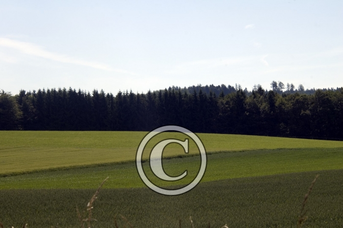DSC_0004-Copier-
