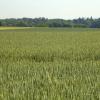DSC_0007-Copier-
