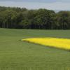 DSC_0108-Copier-