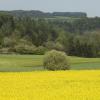 DSC_0109-Copier-