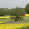 DSC_0110-Copier-