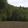 DSC_0111-Copier-