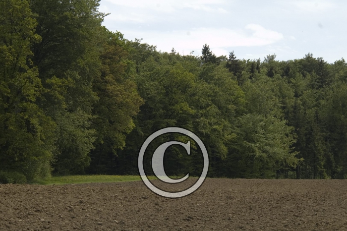 DSC_0111-Copier-