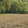 DSC_0112-Copier-