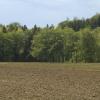 DSC_0113-Copier-