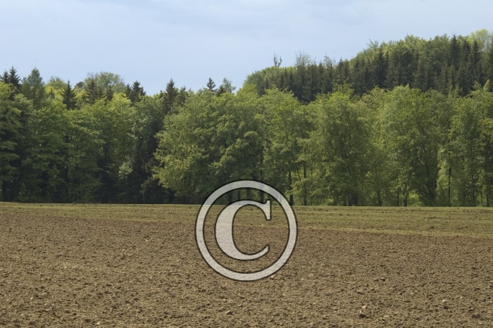 DSC_0113-Copier-