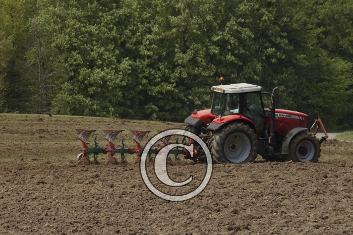 DSC_0114-Copier-