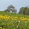 DSC_0119-Copier-