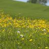 DSC_0121-Copier-