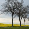 DSC_0122-Copier-