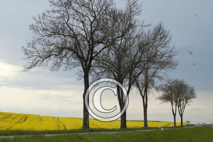 DSC_0122-Copier-