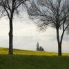 DSC_0124-Copier-