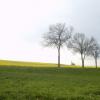 DSC_0125-Copier-