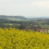 DSC_0128-Copier-