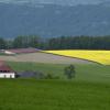 DSC_0135-Copier-