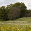DSC_0153-Copier-