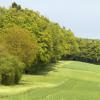 DSC_0154-Copier-