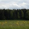 DSC_0156-Copier-