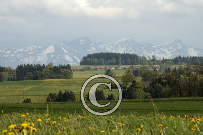 DSC_0157-Copier-