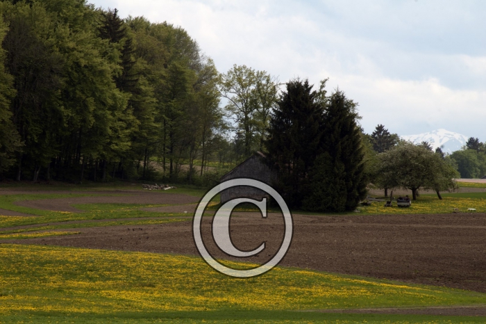 DSC_0158-Copier-
