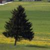 DSC_0160-Copier-