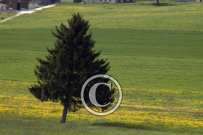 DSC_0160-Copier-