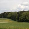 DSC_0163-Copier-