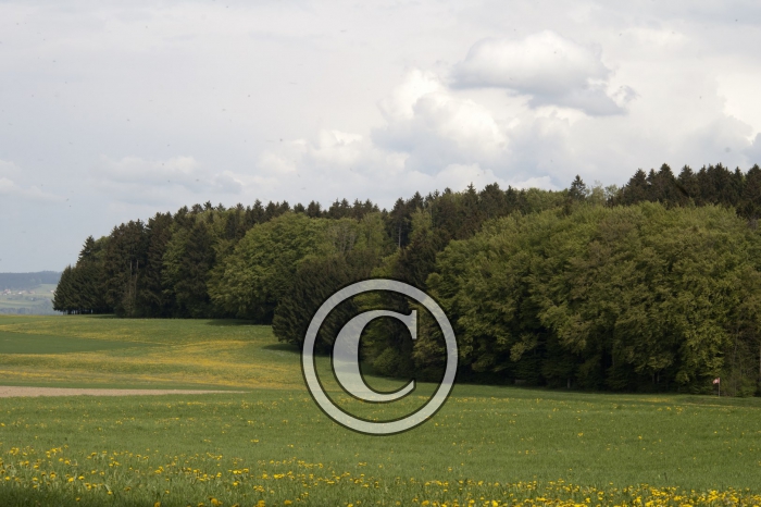 DSC_0163-Copier-