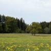 DSC_0170-Copier-