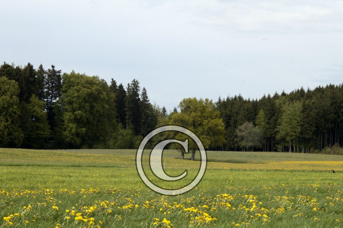 DSC_0170-Copier-