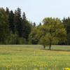 DSC_0171-Copier-