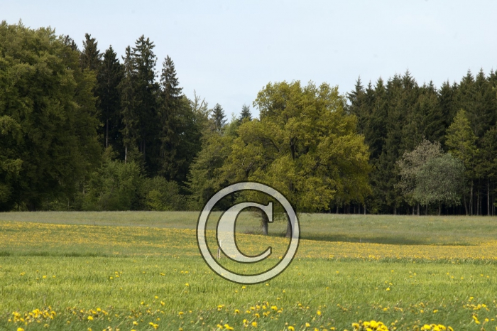 DSC_0171-Copier-