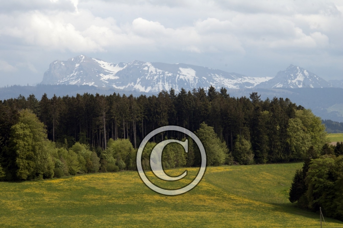 DSC_0173-Copier-
