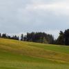 DSC_0174-Copier-