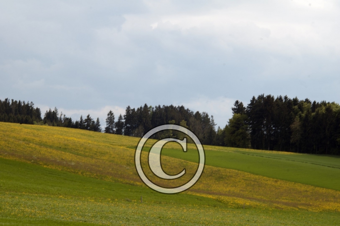 DSC_0174-Copier-