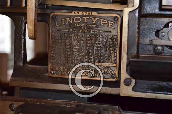 DSC_0036-Copier-