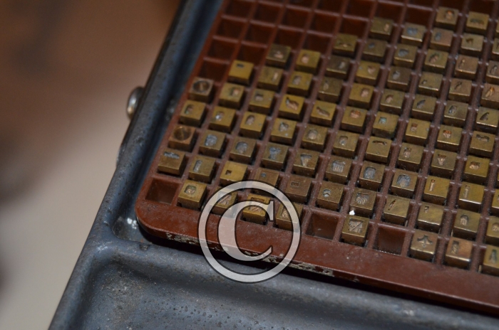 DSC_0040-Copier-