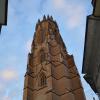DSC_0078-Copier-