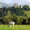 Gruyeres